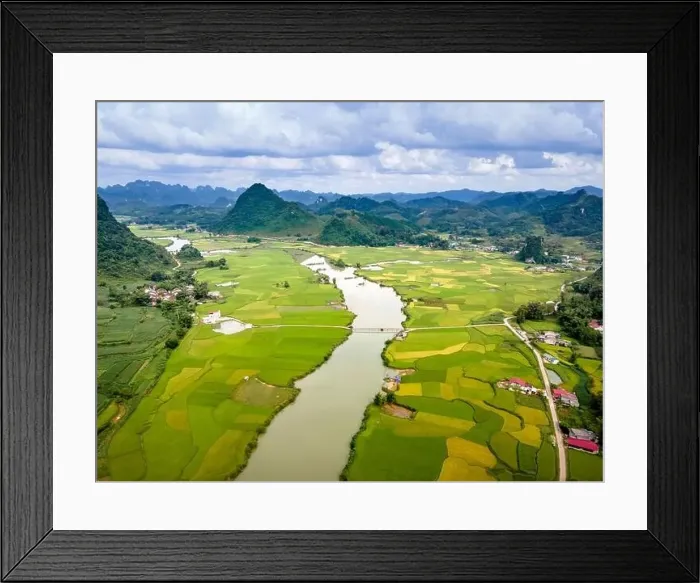 Framed Print : Rice and rice field at Phong Nam village in Trung Khanh Framed Print : Rice and rice field at Phong Nam village in Trung Khanh