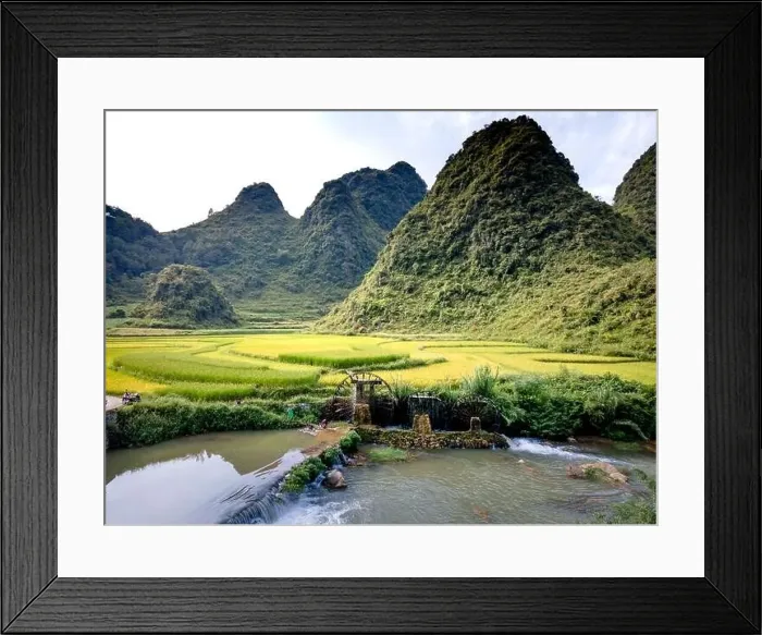 Framed Print : Rice and rice field at Phong Nam village in Trung Khanh Framed Print : Rice and rice field at Phong Nam village in Trung Khanh