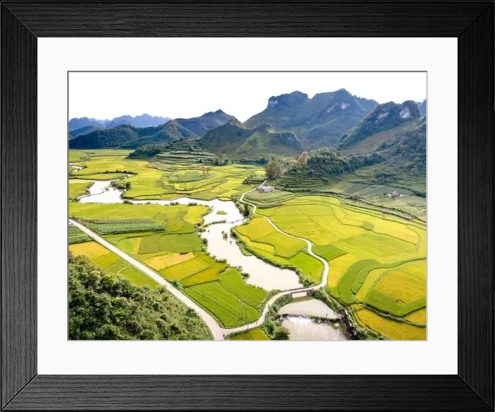 Framed Print : Rice and rice field at Phong Nam village in Trung Khanh Framed Print : Rice and rice field at Phong Nam village in Trung Khanh