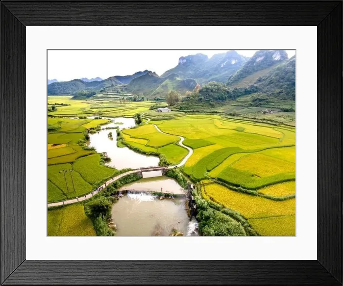Framed Print : Rice and rice field at Phong Nam village in Trung Khanh Framed Print : Rice and rice field at Phong Nam village in Trung Khanh