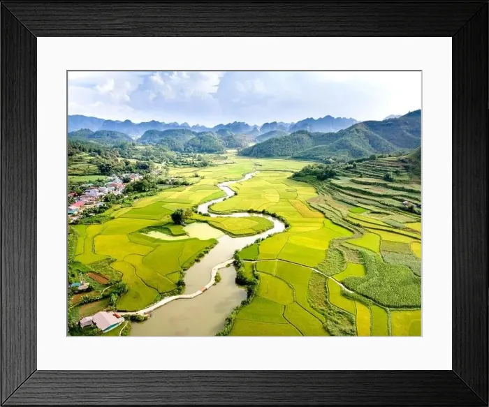 Framed Print : Rice and rice field at Phong Nam village in Trung Khanh Framed Print : Rice and rice field at Phong Nam village in Trung Khanh