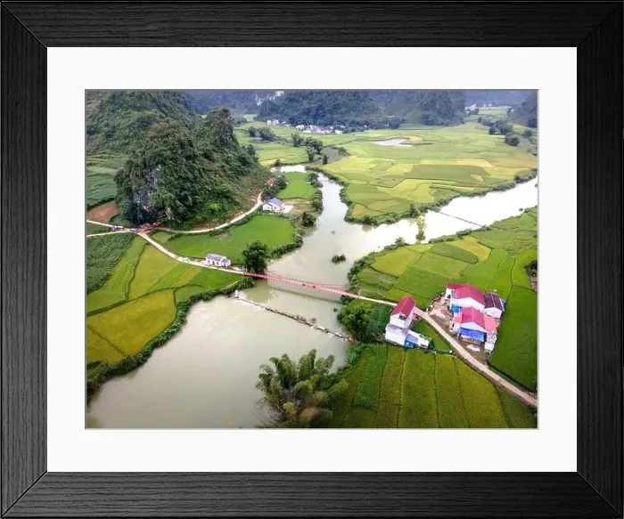 Framed Print : Rice and rice field at Phong Nam village in Trung Khanh Framed Print : Rice and rice field at Phong Nam village in Trung Khanh