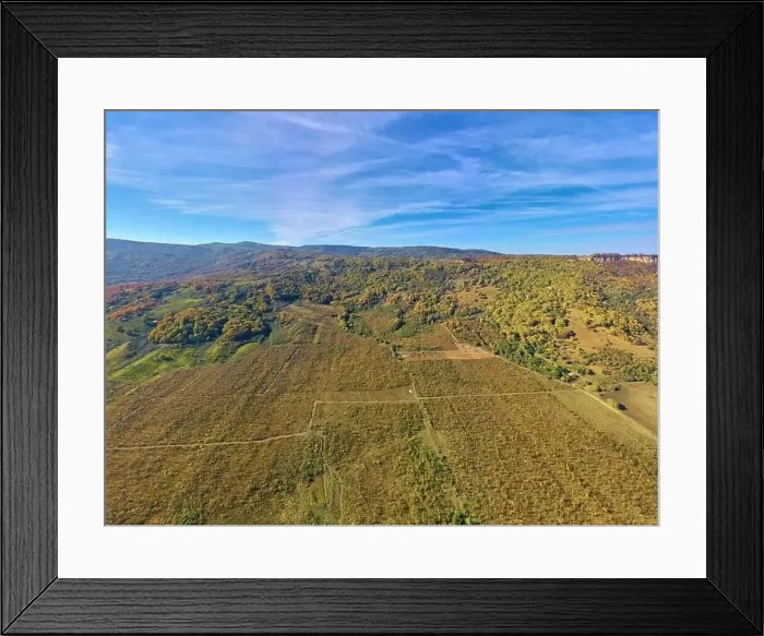 Framed Print : Beautiful orange and red autumn forest Framed Print : Beautiful orange and red autumn forest