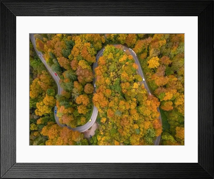 Framed Print : Wonderful drone shot from above at a colorful forest with many driving cars in autumn season Framed Print : Wonderful drone shot from above at a colorful forest with many driving cars in autumn season