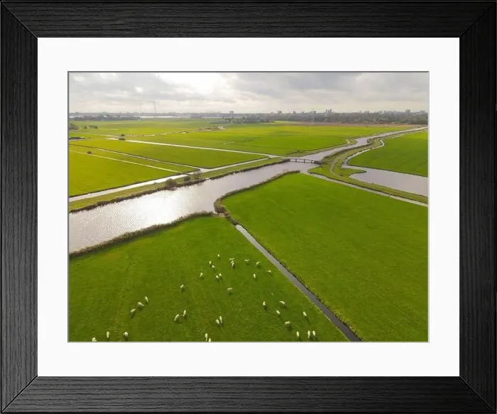 Framed Print : Aerial overview of a landscape with sheep nature grassland drone shot Framed Print : Aerial overview of a landscape with sheep nature grassland drone shot