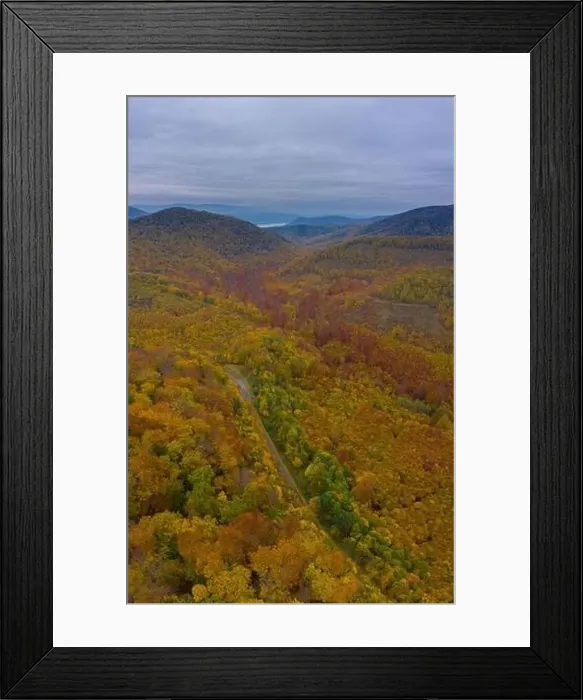 Framed Print : Visegrad, Hungary - Aerial view of asphalt road going through the forest Framed Print : Visegrad, Hungary - Aerial view of asphalt road going through the forest