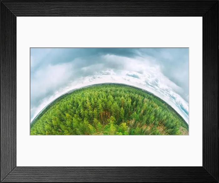 Framed Print : Aerial View Green Coniferous Forest Pines Woods Landscape In Spring Day Framed Print : Aerial View Green Coniferous Forest Pines Woods Landscape In Spring Day