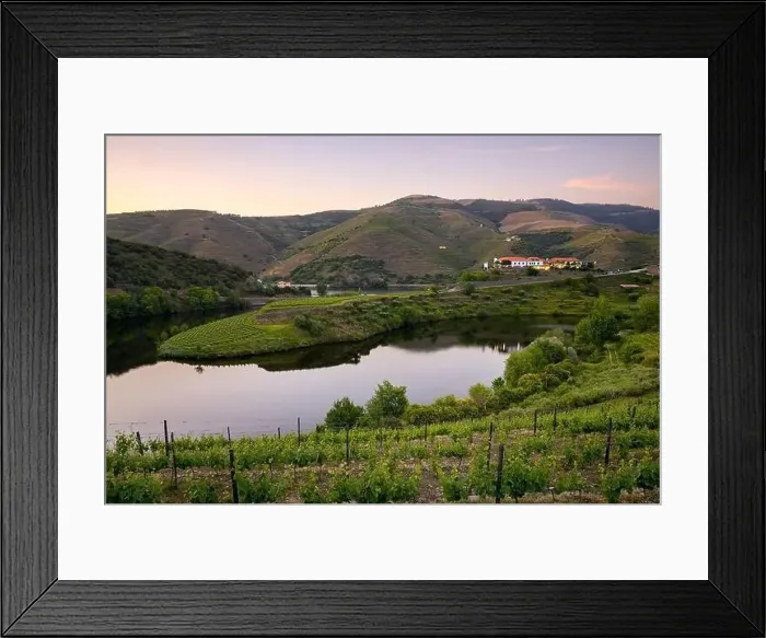 Framed Print : Douro wine valley regions shape bend river in Quinta do Tedo at sunset, in Portugal Framed Print : Douro wine valley regions shape bend river in Quinta do Tedo at sunset, in Portugal