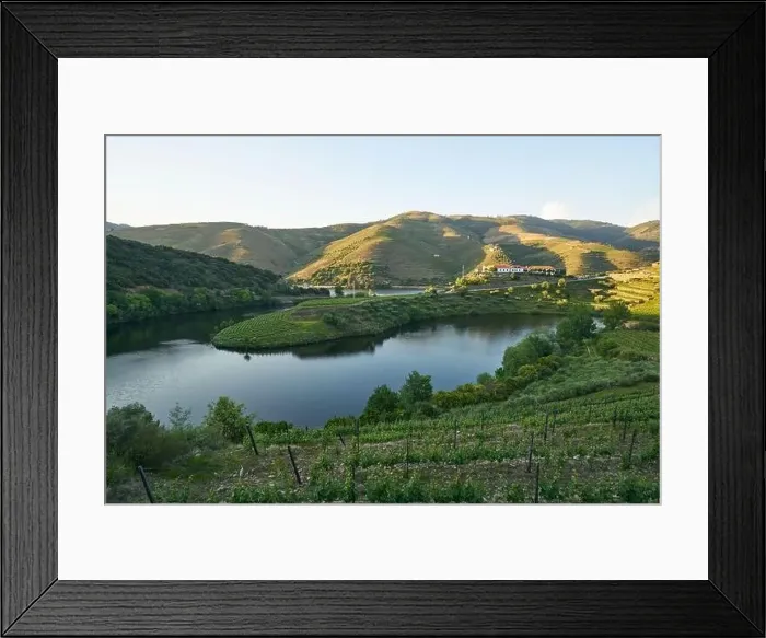 Framed Print : Douro wine valley regions shape bend river in Quinta do Tedo at sunset, in Portugal Framed Print : Douro wine valley regions shape bend river in Quinta do Tedo at sunset, in Portugal
