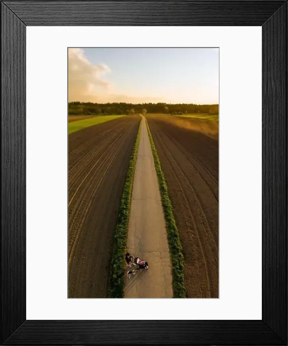 Framed Print : Aerial shoot of woman with child in stroller an a dog on a leash on rural road to forest Framed Print : Aerial shoot of woman with child in stroller an a dog on a leash on rural road to forest