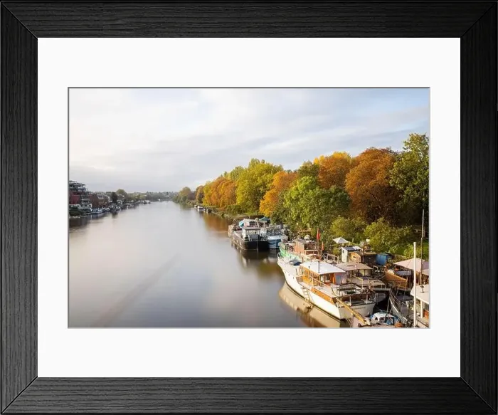Framed Print : Landscape View of Boats Docked Next to Some Trees That Go Alongside the River