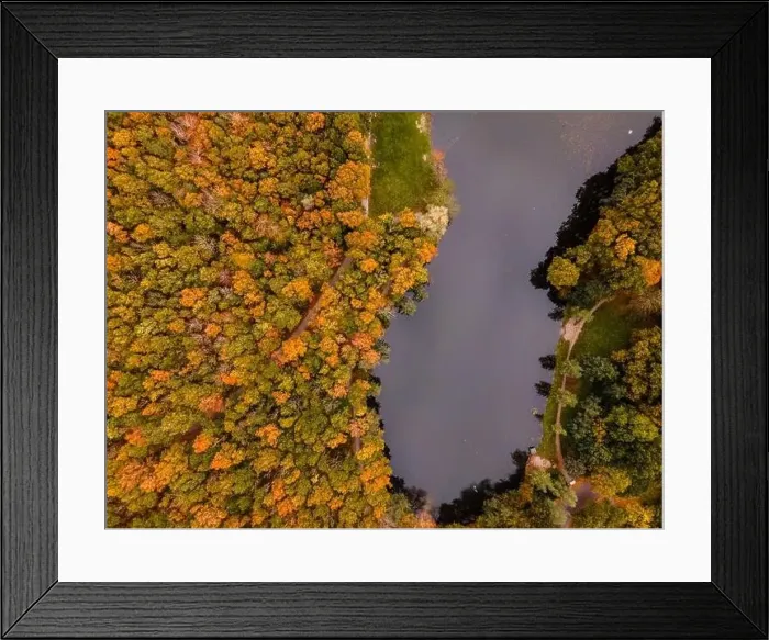 Framed Print : Fall colour reflected in the still waters of a lake near Urk Netherlands Framed Print : Fall colour reflected in the still waters of a lake near Urk Netherlands