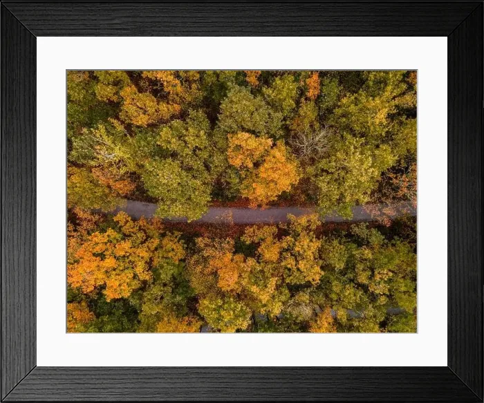 Framed Print : Fall colour reflected in the still waters of a lake near Urk Netherlands Framed Print : Fall colour reflected in the still waters of a lake near Urk Netherlands