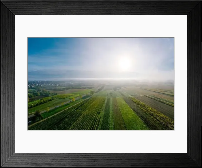 Framed Print : A drone panoramic view of the stunning expanse of the Vosges foothills. Autumn vineyards in the morning fog. France Framed Print : A drone panoramic view of the stunning expanse of the Vosges foothills. Autumn vineyards in the morning fog. France