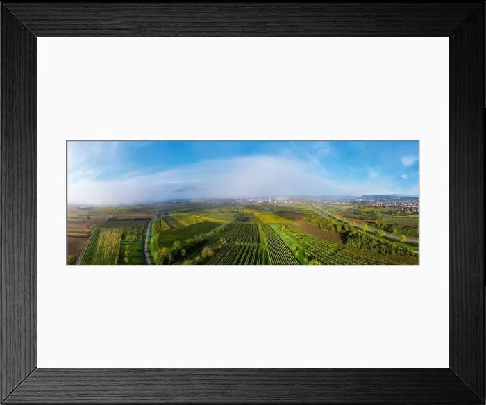 Framed Print : A drone panoramic view of the stunning expanse of the Vosges foothills. Autumn vineyards in the morning fog. France Framed Print : A drone panoramic view of the stunning expanse of the Vosges foothills. Autumn vineyards in the morning fog. France