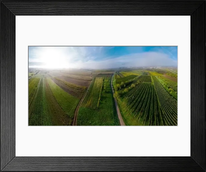 Framed Print : A drone panoramic view of the stunning expanse of the Vosges foothills. Autumn vineyards in the morning fog. France Framed Print : A drone panoramic view of the stunning expanse of the Vosges foothills. Autumn vineyards in the morning fog. France