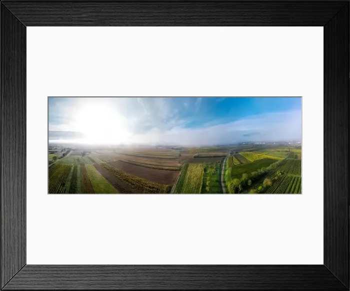 Framed Print : A drone panoramic view of the stunning expanse of the Vosges foothills. Autumn vineyards in the morning fog. France Framed Print : A drone panoramic view of the stunning expanse of the Vosges foothills. Autumn vineyards in the morning fog. France