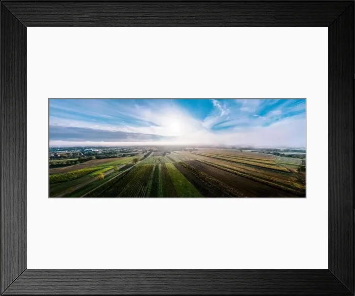 Framed Print : A drone panoramic view of the stunning expanse of the Vosges foothills. Autumn vineyards in the morning fog. France Framed Print : A drone panoramic view of the stunning expanse of the Vosges foothills. Autumn vineyards in the morning fog. France
