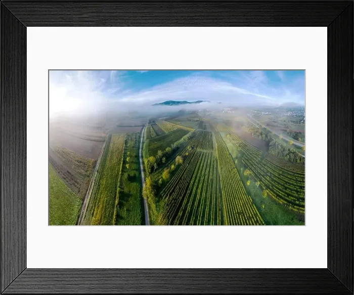 Framed Print : A drone panoramic view of the stunning expanse of the Vosges foothills. Autumn vineyards in the morning fog. France Framed Print : A drone panoramic view of the stunning expanse of the Vosges foothills. Autumn vineyards in the morning fog. France