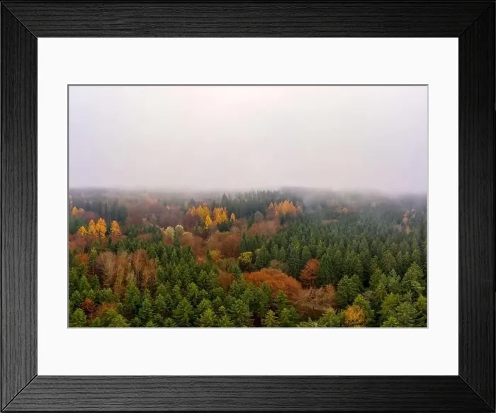 Framed Print : Wide colorful forest aerial landscape from above at a foggy autumn day with copyspace at the top of the image Framed Print : Wide colorful forest aerial landscape from above at a foggy autumn day with copyspace at the top of the image