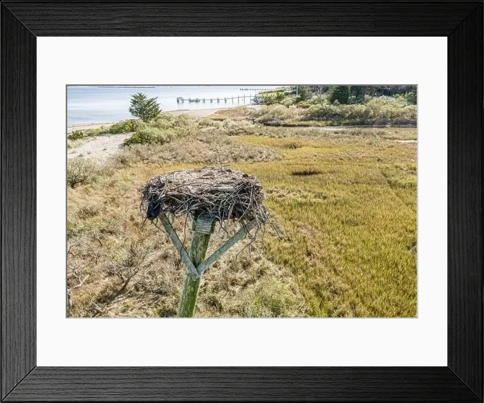 Framed Print : An abandoned Osprey nest on a platform with water and a dock beyond Framed Print : An abandoned Osprey nest on a platform with water and a dock beyond