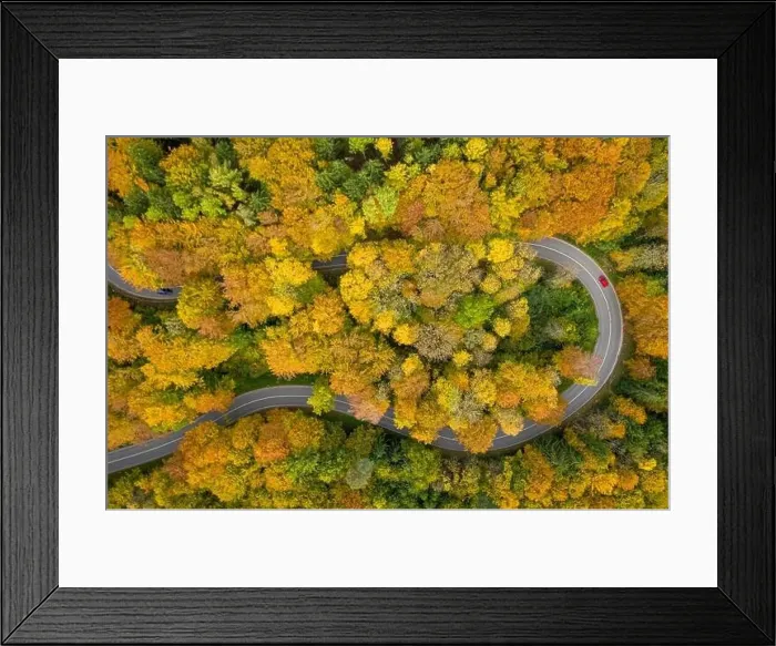 Framed Print : Fantastic autumn - colorful treetops with a significant red car driving through a double curve of a serpentine street