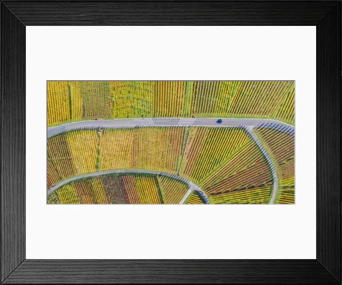 Framed Print : Vineyards wine autumn fall season aerial photo panoramic view nature in Germany Framed Print : Vineyards wine autumn fall season aerial photo panoramic view nature in Germany