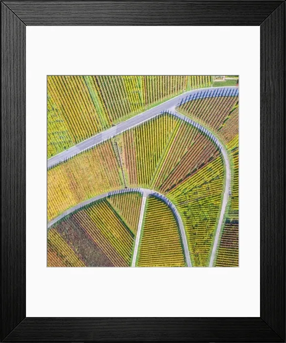 Framed Print : Vineyards wine autumn fall season aerial photo view square nature in Germany Framed Print : Vineyards wine autumn fall season aerial photo view square nature in Germany