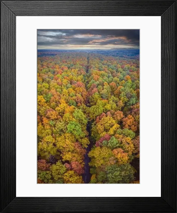 Framed Print : Aerial top down vertical panorama of road through the autumn forest Framed Print : Aerial top down vertical panorama of road through the autumn forest