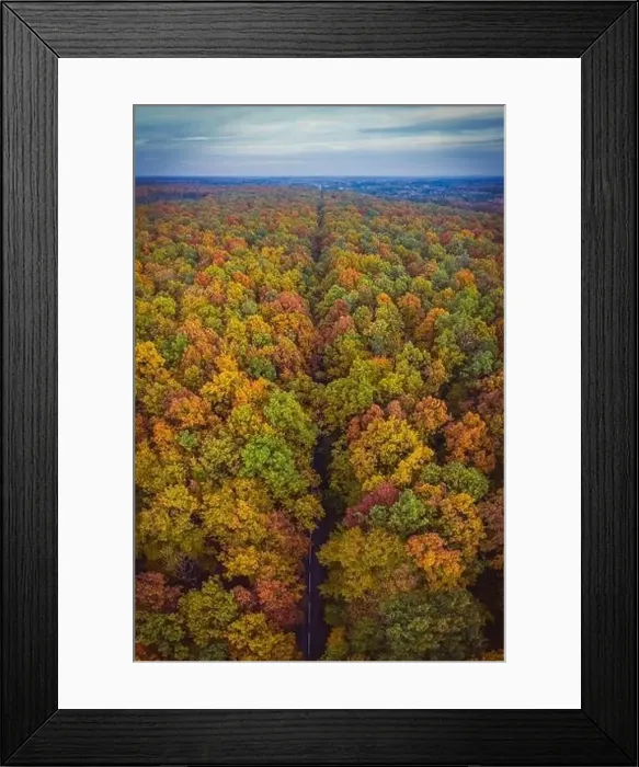 Framed Print : Aerial top down vertical panorama of road through the autumn forest Framed Print : Aerial top down vertical panorama of road through the autumn forest