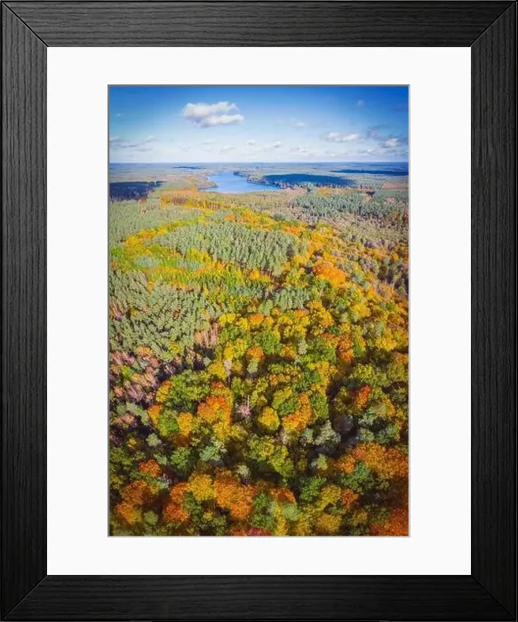 Framed Print : Aerial vertical panoramic view of vibrant color autumn forest and distant lake Framed Print : Aerial vertical panoramic view of vibrant color autumn forest and distant lake