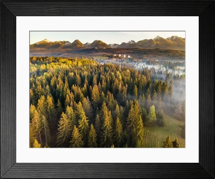 Framed Print : Beautiful Morning in High Tatras Mountains. Mist Over Fall Foliage. Aerial Drone View Framed Print : Beautiful Morning in High Tatras Mountains. Mist Over Fall Foliage. Aerial Drone View
