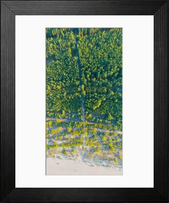 Framed Print : Looking down at the beach. Drone aerial view. Baltic sea. Panorama Framed Print : Looking down at the beach. Drone aerial view. Baltic sea. Panorama