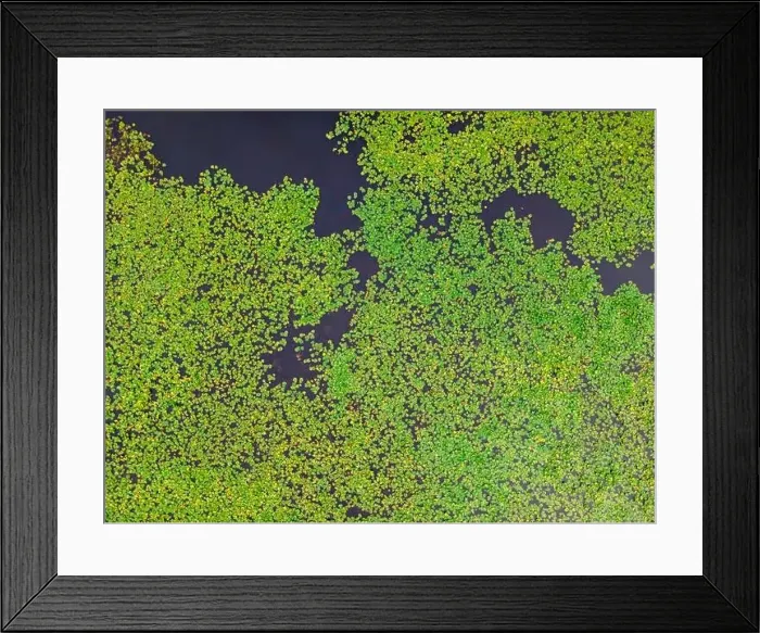 Framed Print : Aerial view of a lily pond in Loire Valley, France Framed Print : Aerial view of a lily pond in Loire Valley, France