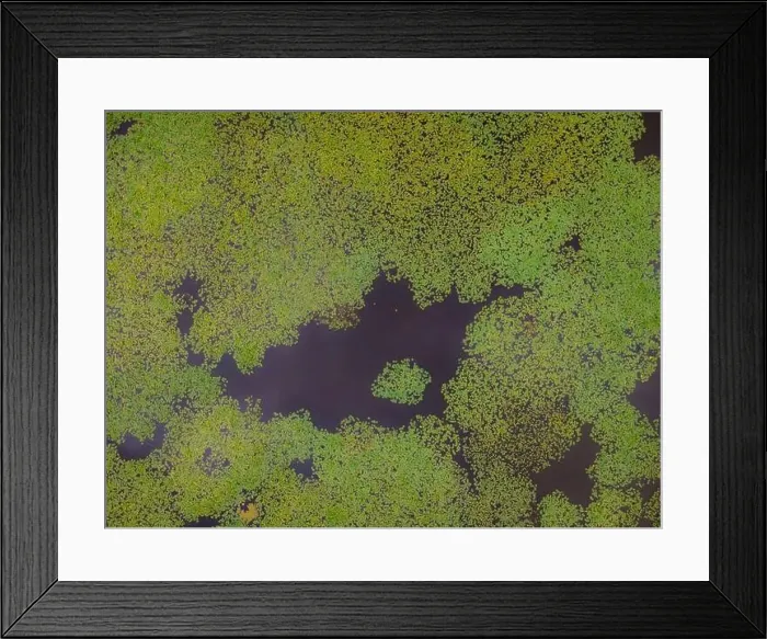 Framed Print : Aerial view of a lily pond in Loire Valley, France Framed Print : Aerial view of a lily pond in Loire Valley, France