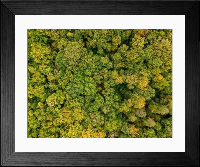 Framed Print : Aerial view of the canopy of Touraine, Loire Valley, France Framed Print : Aerial view of the canopy of Touraine, Loire Valley, France