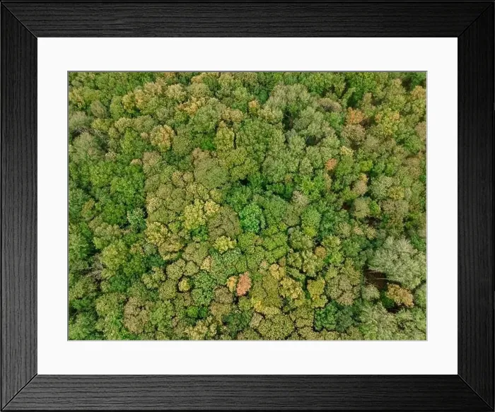 Framed Print : Aerial view of the canopy of Touraine, Loire Valley, France Framed Print : Aerial view of the canopy of Touraine, Loire Valley, France