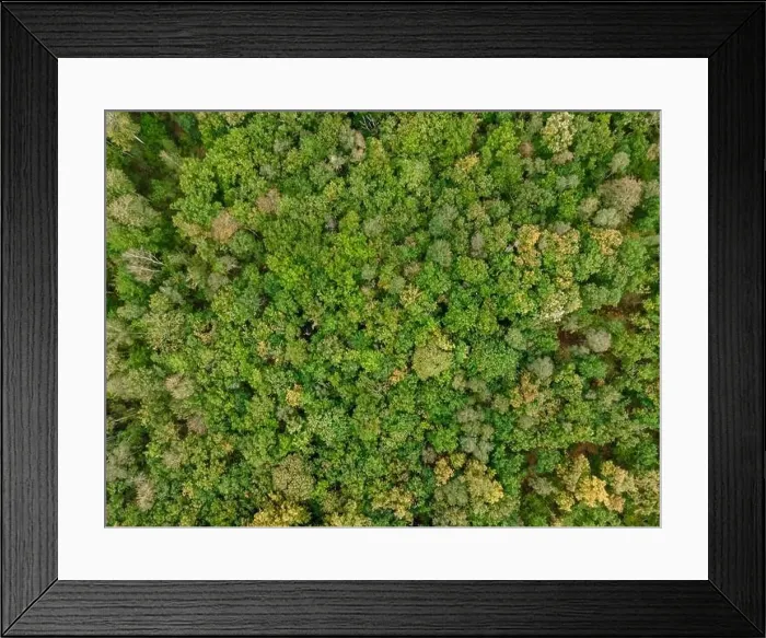 Framed Print : Aerial view of the canopy of Touraine, Loire Valley, France Framed Print : Aerial view of the canopy of Touraine, Loire Valley, France