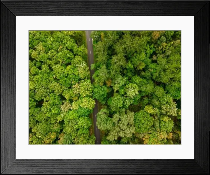 Framed Print : Aerial view of the canopy and a road of Touraine, Loire Valley, France Framed Print : Aerial view of the canopy and a road of Touraine, Loire Valley, France