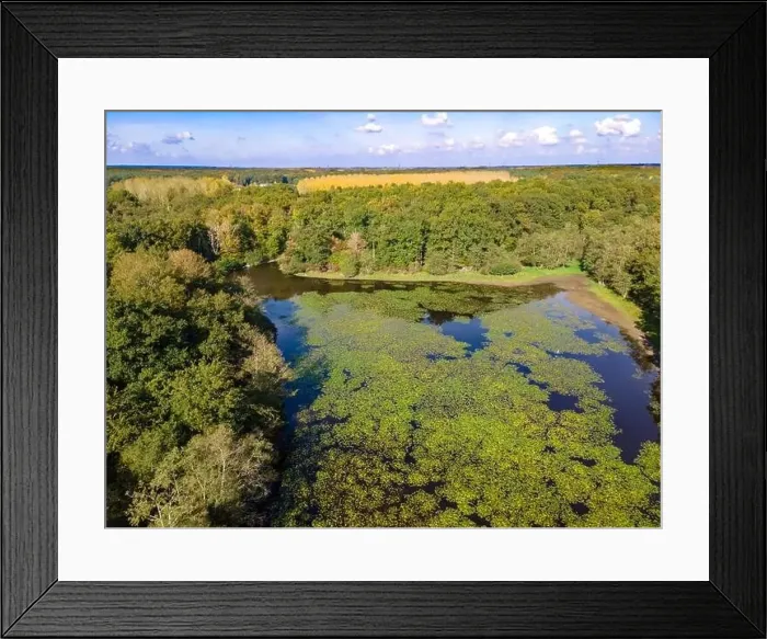 Framed Print : Aerial view of a pond in Loire Valley, France Framed Print : Aerial view of a pond in Loire Valley, France
