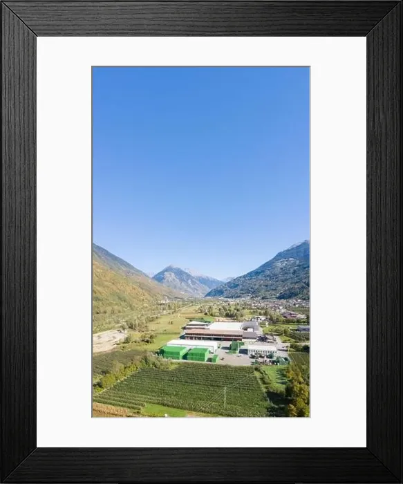 Framed Print : Clear sky on mountains above apple orchards and agricultural farms Framed Print : Clear sky on mountains above apple orchards and agricultural farms
