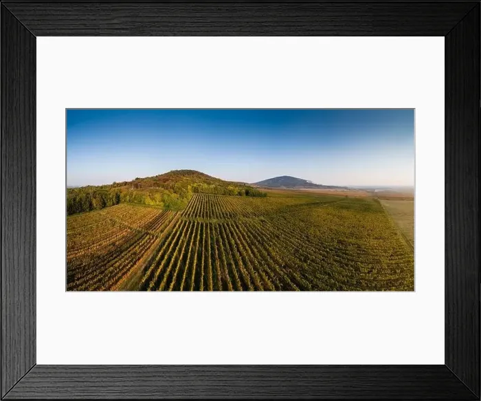 Framed Print : aerial view of beautiful autumn vineyard in Villany, Hungary Framed Print : aerial view of beautiful autumn vineyard in Villany, Hungary