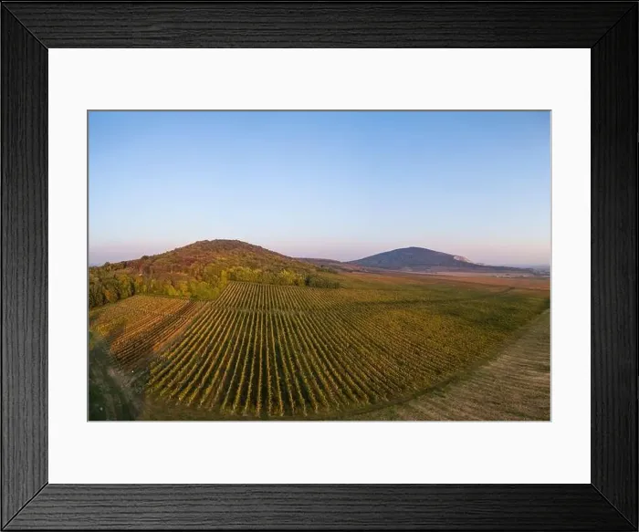 Framed Print : aerial view of beautiful autumn vineyard in Villany, Hungary Framed Print : aerial view of beautiful autumn vineyard in Villany, Hungary