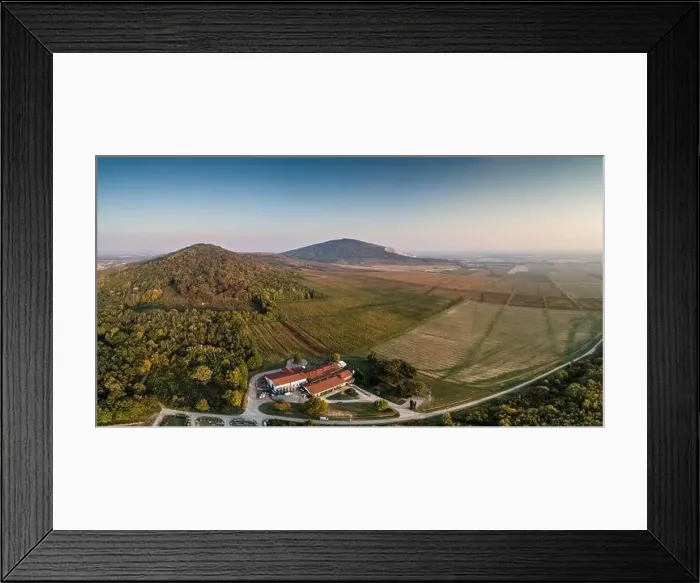 Framed Print : aerial view of beautiful autumn vineyard in Villany, Hungary Framed Print : aerial view of beautiful autumn vineyard in Villany, Hungary