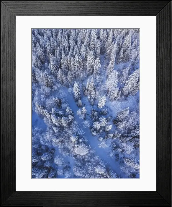 Framed Print : Sunrise overhead drone shot of a snow covered forest Framed Print : Sunrise overhead drone shot of a snow covered forest