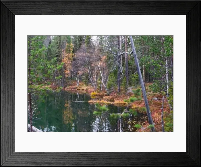 Framed Print : Autumn view of Oulanka National Park Framed Print : Autumn view of Oulanka National Park