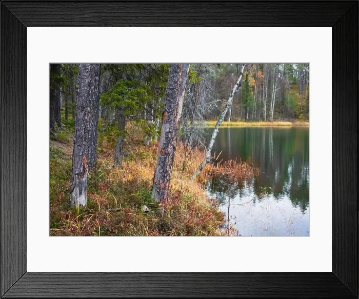 Framed Print : Autumn view of Oulanka National Park Framed Print : Autumn view of Oulanka National Park