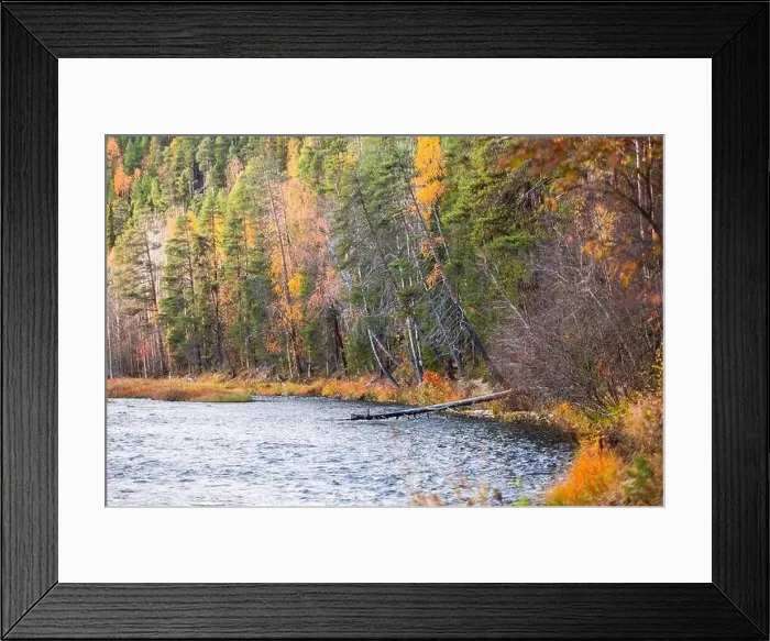 Framed Print : Autumn view of Oulanka National Park Framed Print : Autumn view of Oulanka National Park