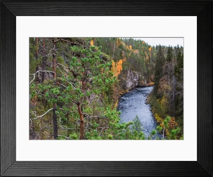Framed Print : Autumn view of Oulanka National Park Framed Print : Autumn view of Oulanka National Park