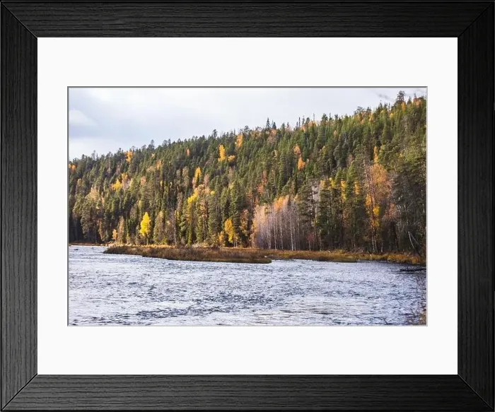 Framed Print : Autumn view of Oulanka National Park Framed Print : Autumn view of Oulanka National Park